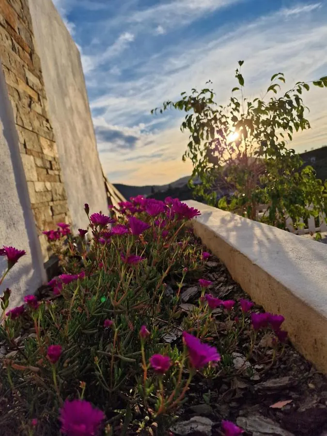 Bed & Breakfast B&B Casa Mijo Daimalos